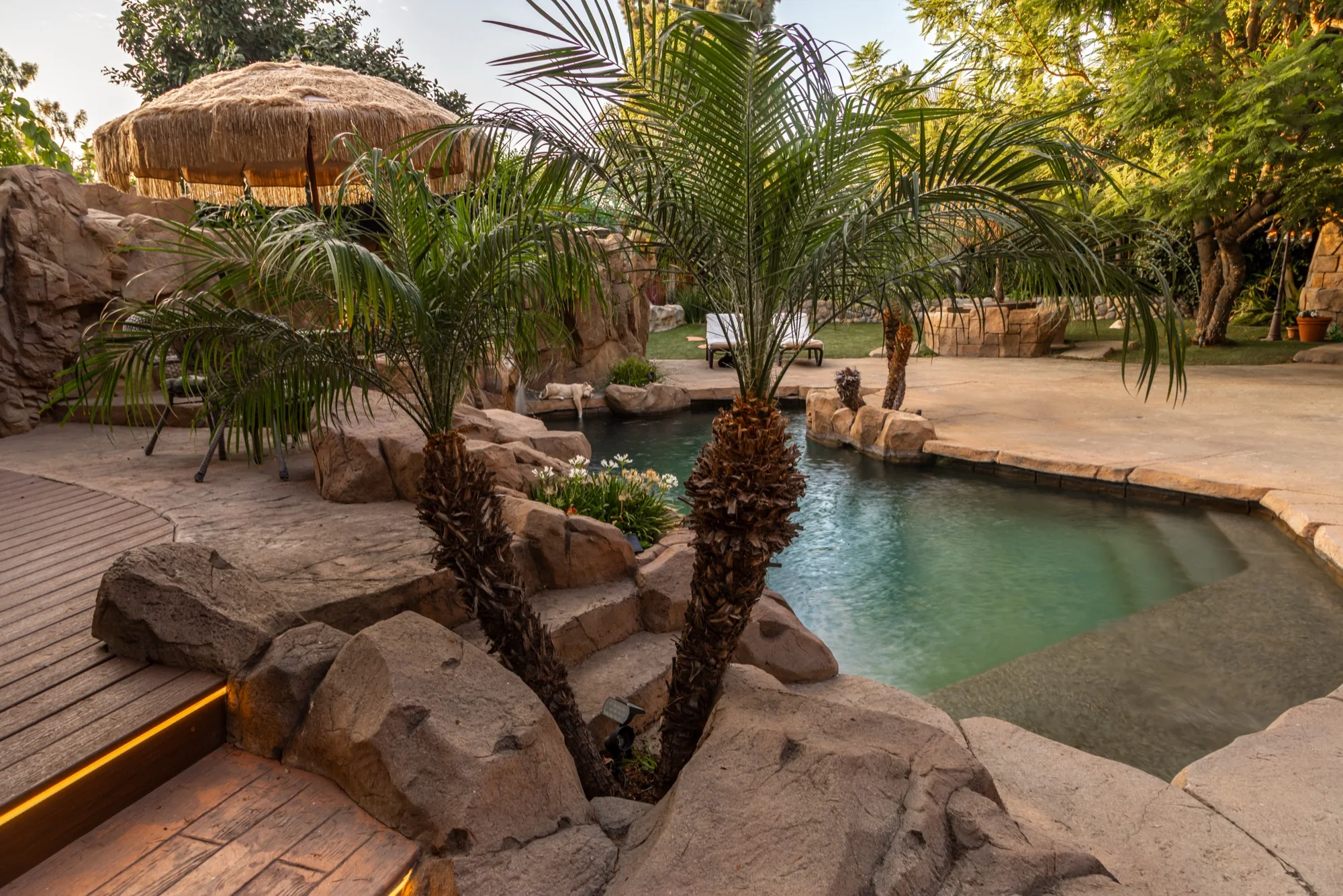 Palms growing out of the rockwork beside the pool at The Enchanted Manor