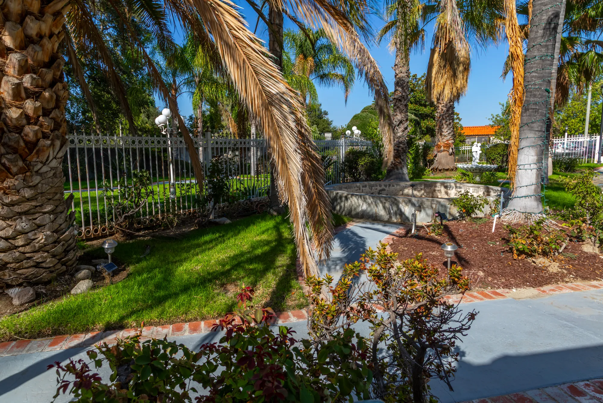 Palms and planted beds along the white garden fence at Kelly's Wedding Garden
