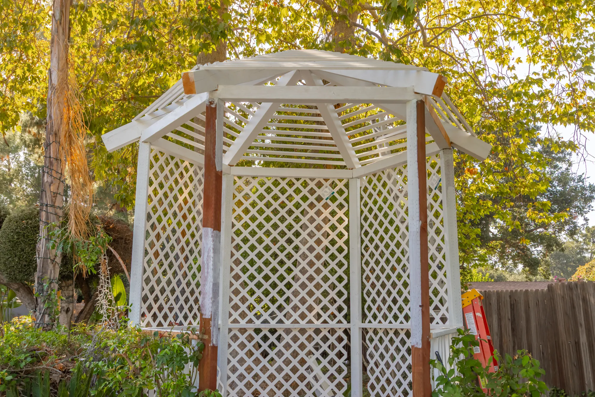 The white lattice gazebo under the sycamores at Kelly's Wedding Garden