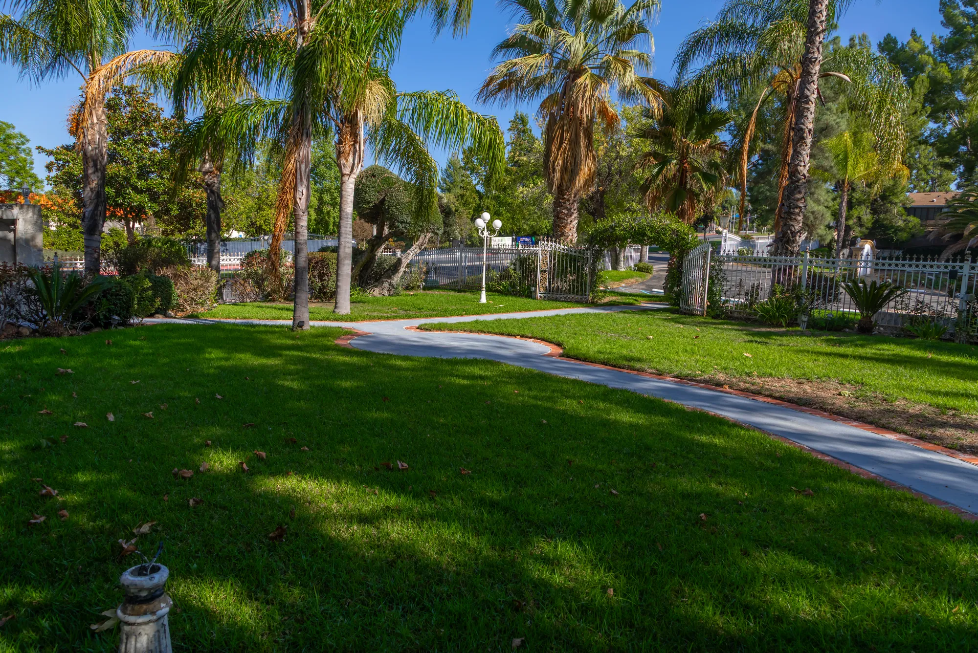 The open lawn and a curving path beneath the palms at Kelly's Wedding Garden