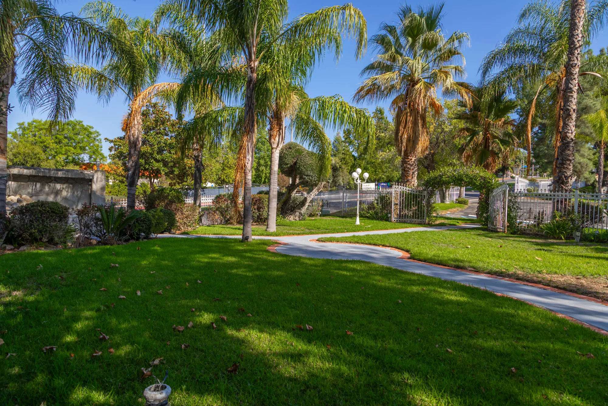 The wide lawn ringed with palms at Kelly's Wedding Garden