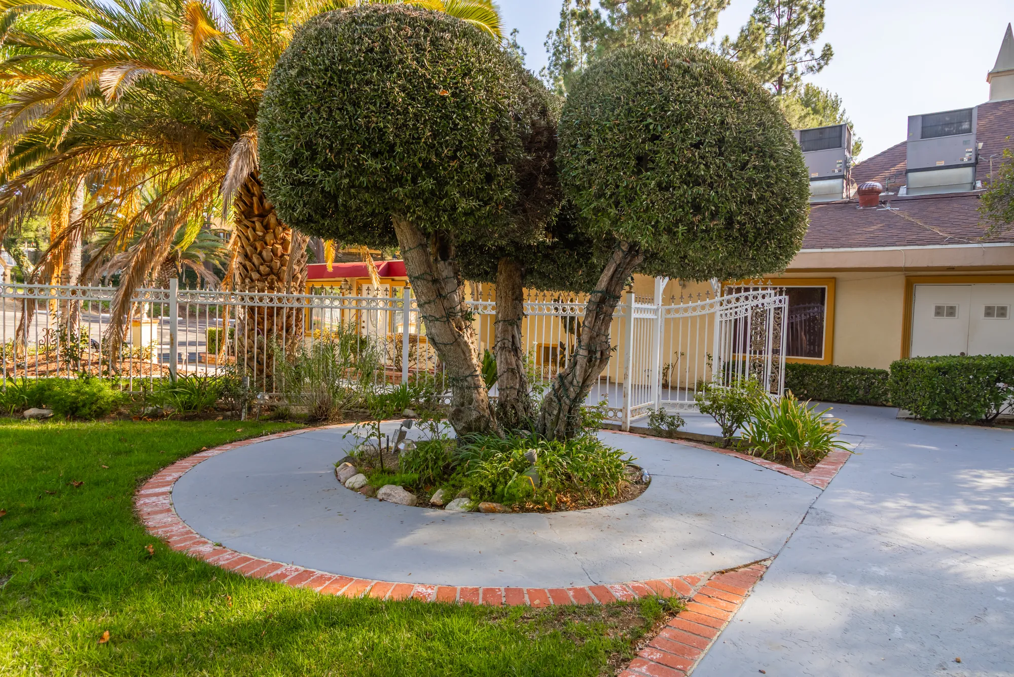 The sculpted topiary tree in its brick circle beside the banquet room at Kelly's Wedding Garden