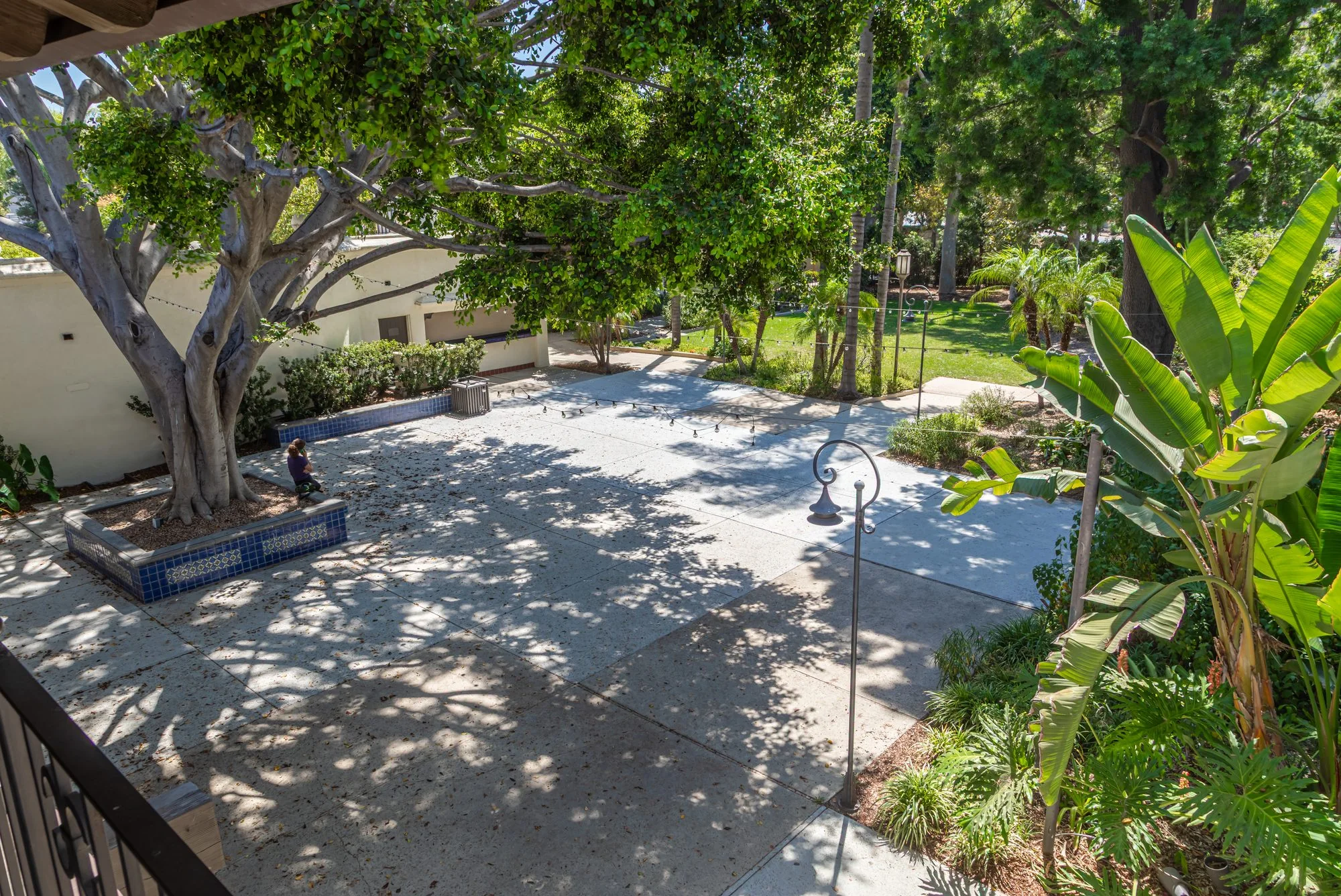 The planted garden and its palms at the LA River Center