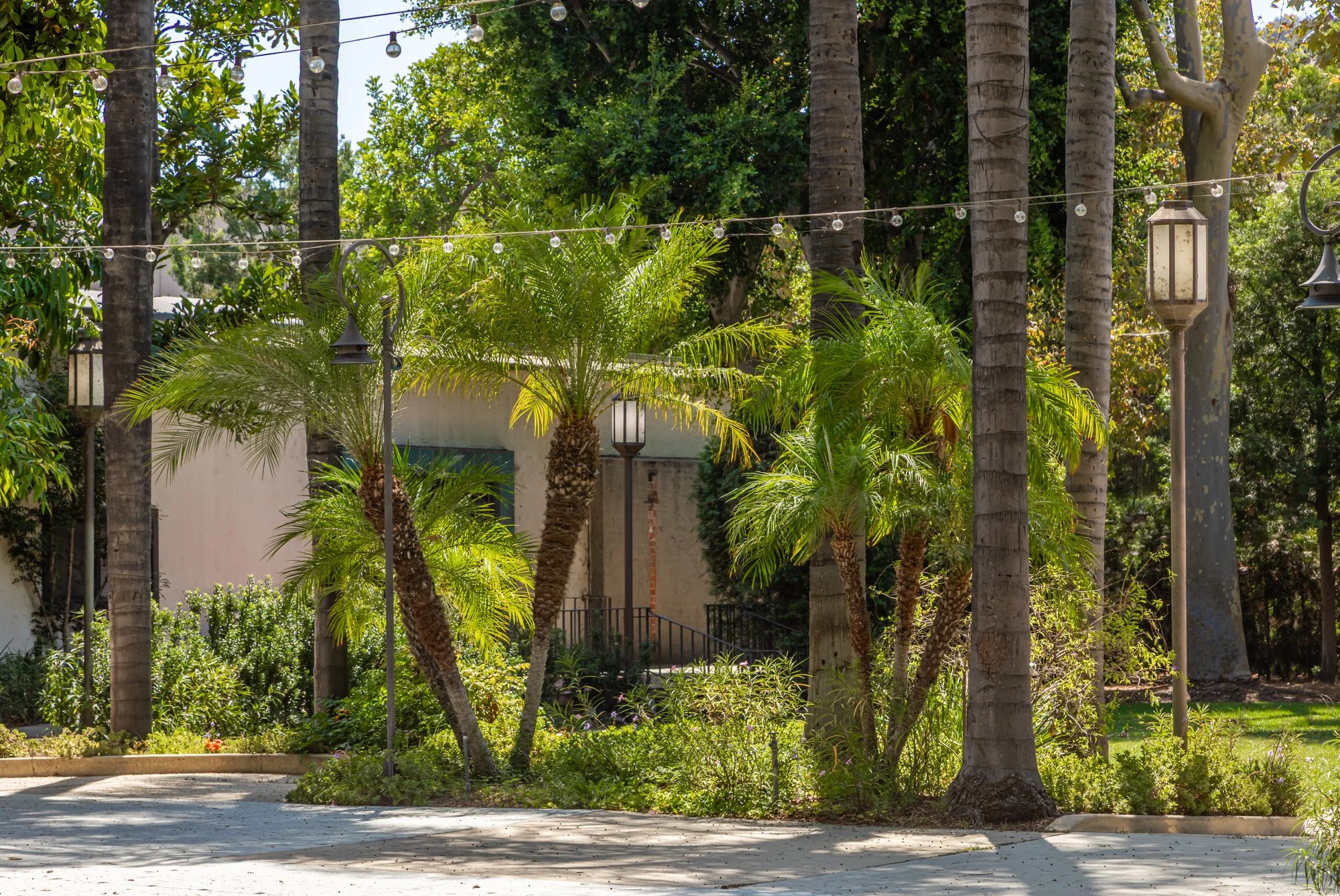 The palm-lined walk at the LA River Center