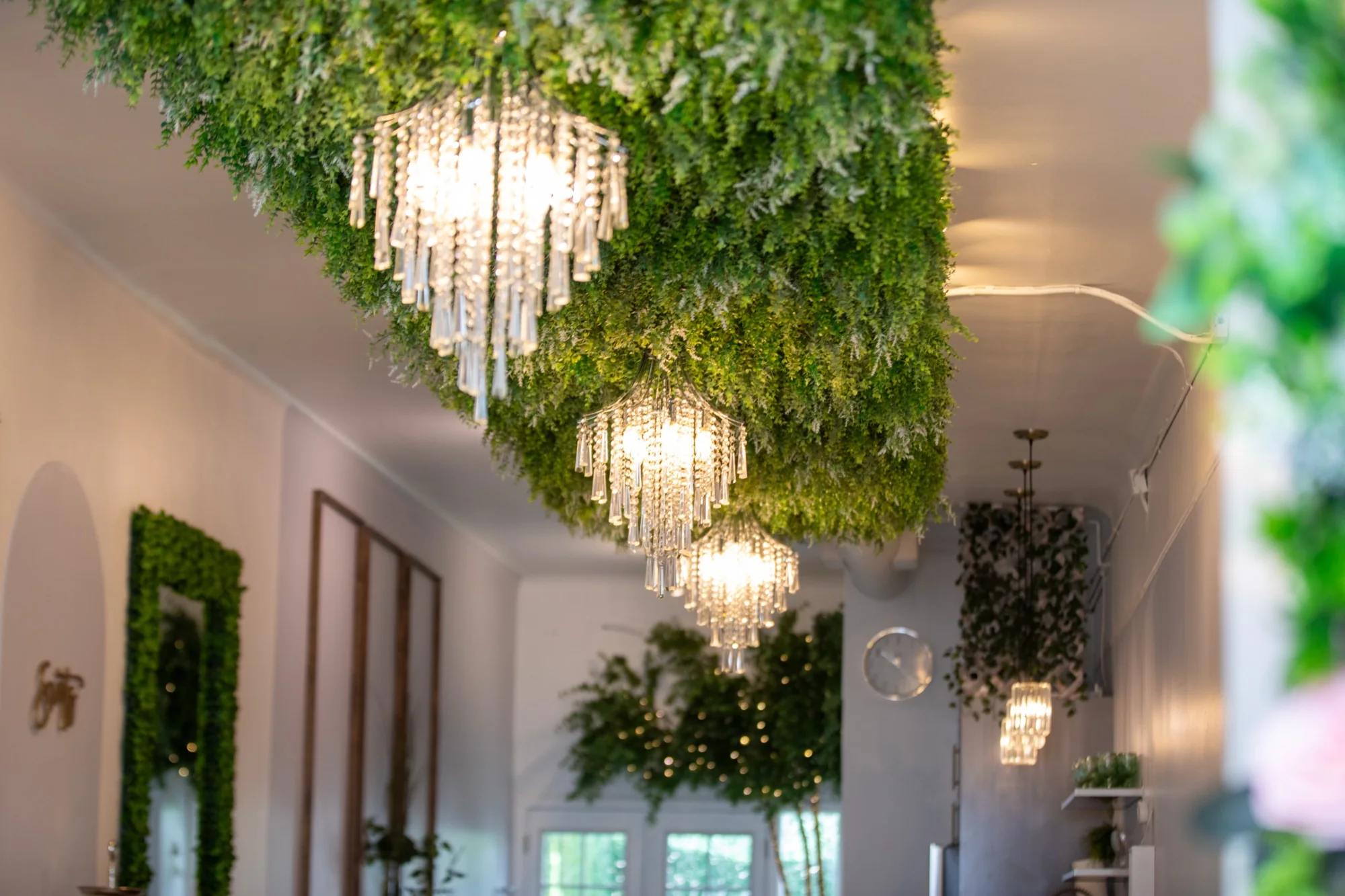 Greenery and chandeliers overhead at Violet Cactus Petite