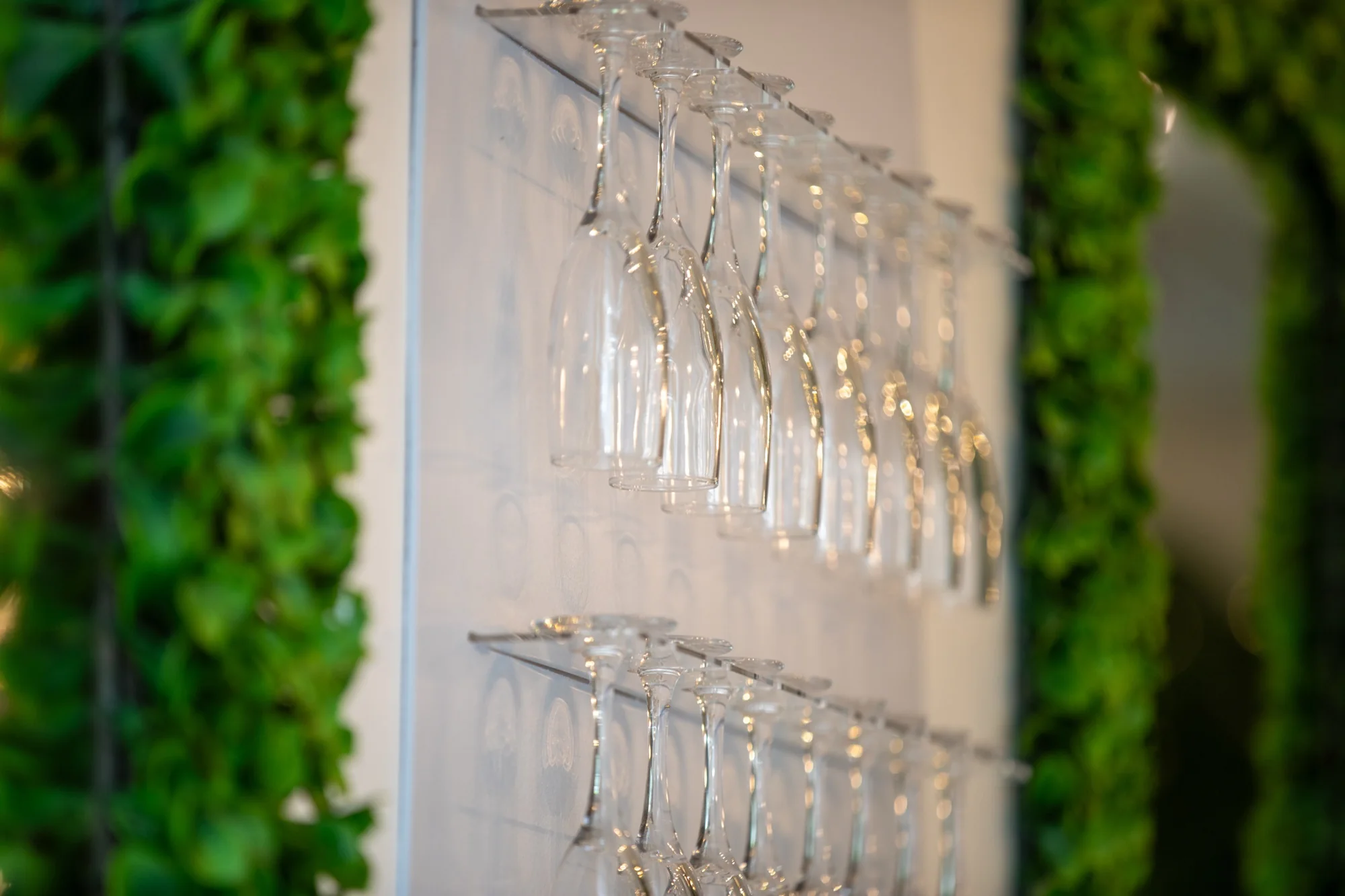 Glasses hung against the greenery at Violet Cactus Petite