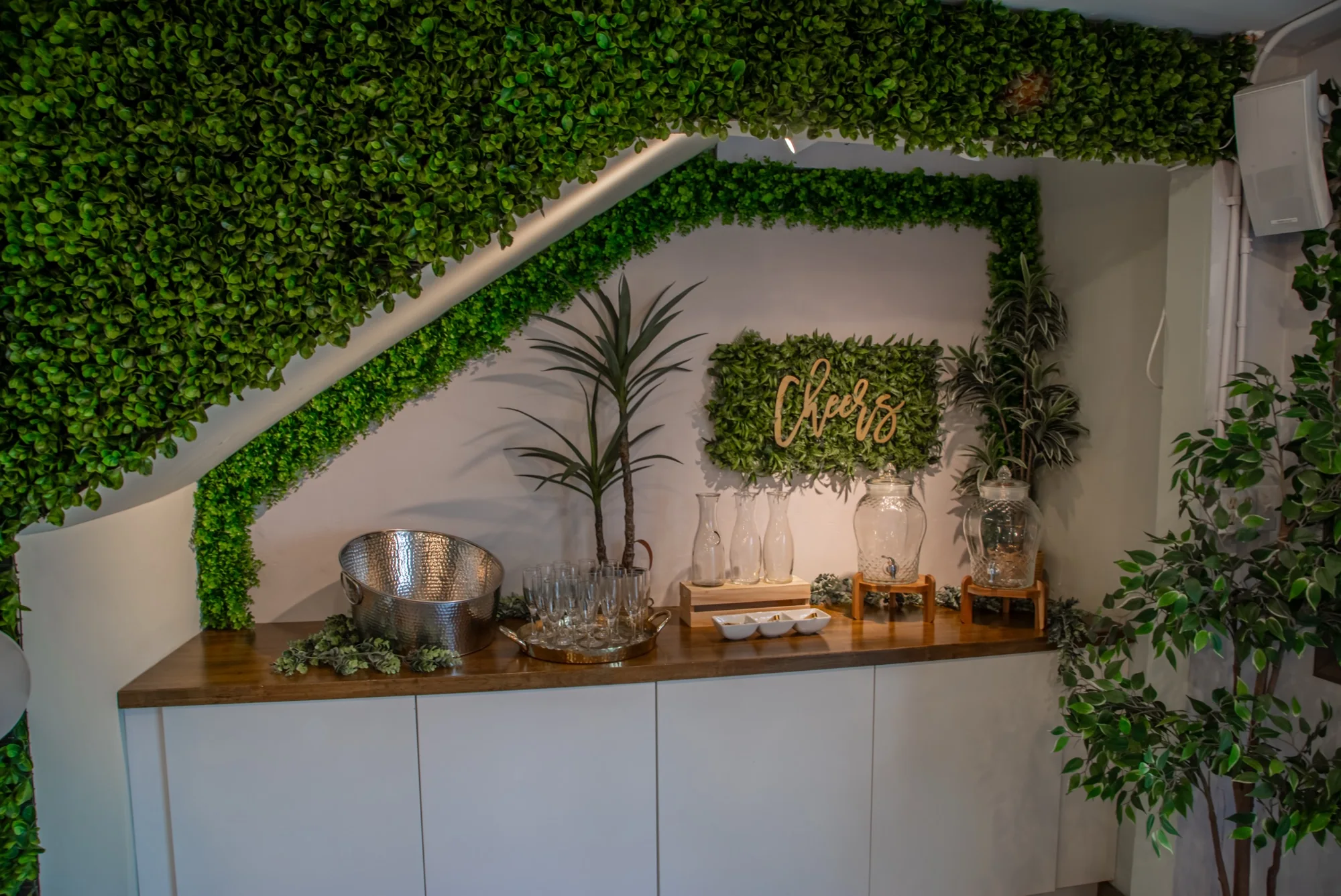 The drinks counter against the hedge wall at Violet Cactus Studio